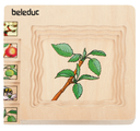 Lagen-Puzzle "Apfel"