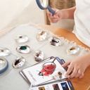 Acryltiere - Insekten