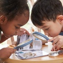 Display für Acryltiere