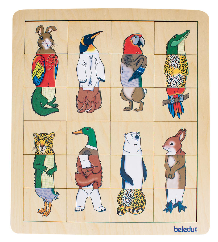 Match & Mix  Animal Kingdom