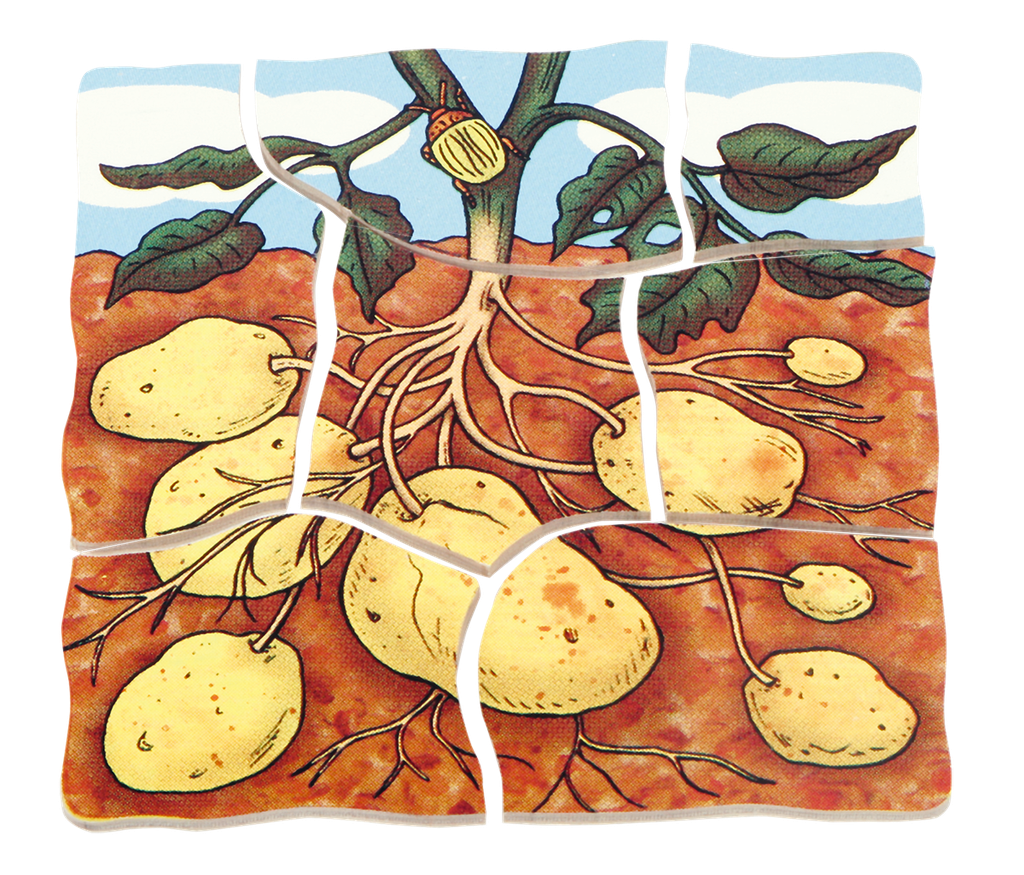Lagen-Puzzle "Kartoffel"