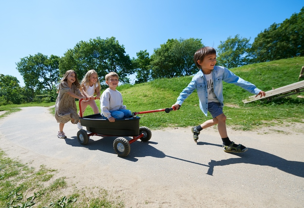 VIKING EXPLORER Surfer Boat