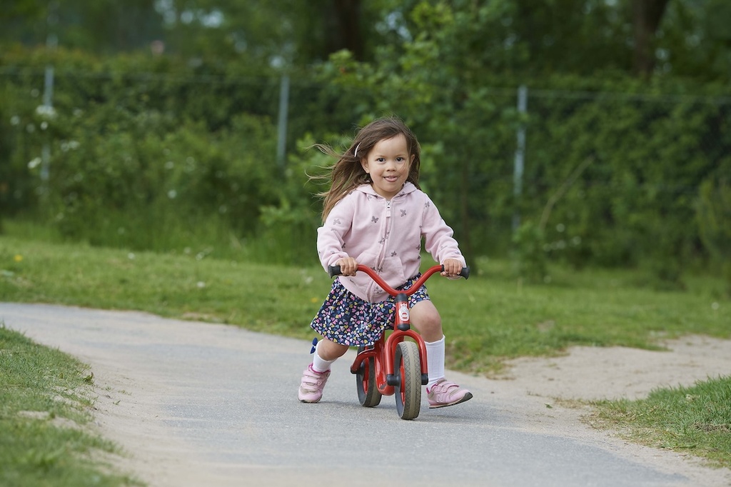 Mini Viking Bike Runner