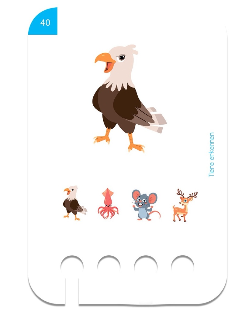 LK - Erste Übungen - Tiere erkennen