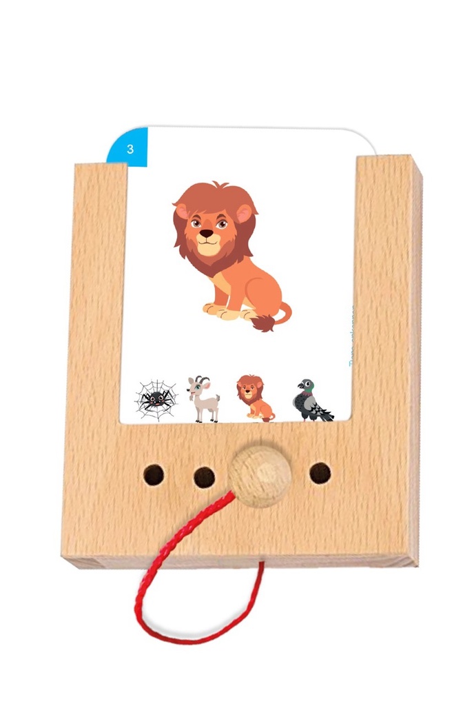 LK - Erste Übungen - Tiere erkennen