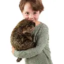 Groß (105362_3).webp