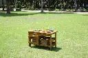 108346_w6.webp