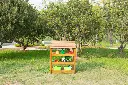 Groß (108347_5).webp