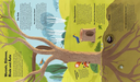 das-kleine-buch-der-baeume-gebundene-ausgabe-claire-philip-4.webp