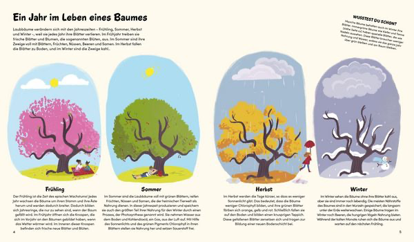 das-kleine-buch-der-baeume-gebundene-ausgabe-claire-philip-2.webp