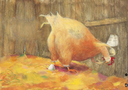 das-osterkueken-kamishibai-bildkartenset-box-geraldine-elschner.webp