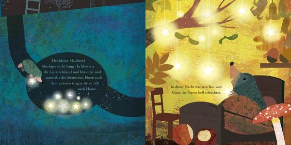 der-maulwurf-und-die-sterne-gebundene-ausgabe-britta-teckentrup.jpeg.webp