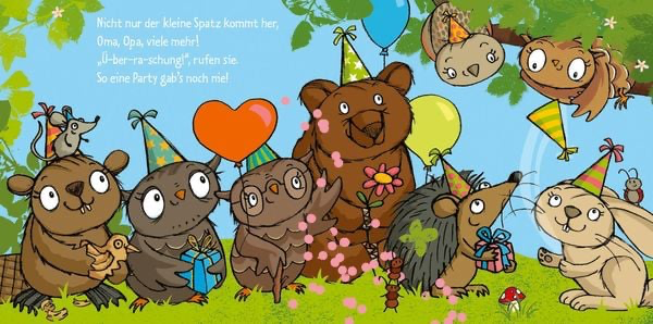 die-kleine-eule-hat-geburtstag-gebundene-ausgabe-susanne-weber-2.webp