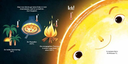 die-sonne-unser-star-am-sternenhimmel-gebundene-ausgabe-stacy-mcanulty.webp