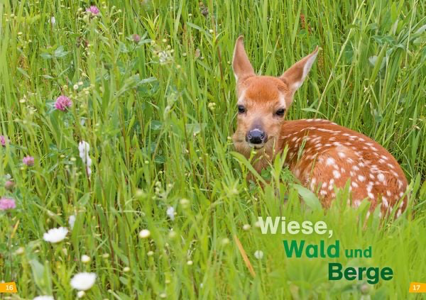 was-ist-was-erstes-lesen-natur-entdecken-gebundene-ausgabe-christina-braun-2.webp