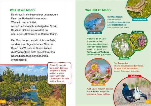 was-ist-was-erstes-lesen-natur-entdecken-gebundene-ausgabe-christina-braun-5.webp