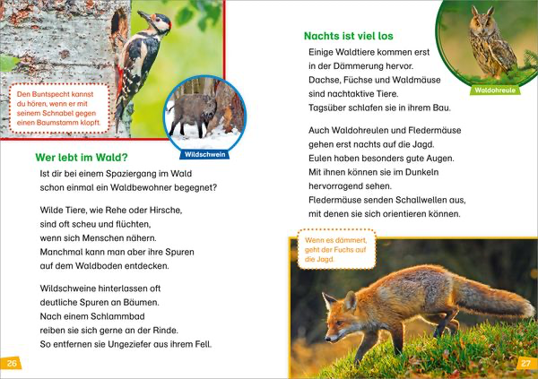 was-ist-was-erstes-lesen-natur-entdecken-gebundene-ausgabe-christina-braun-3.webp