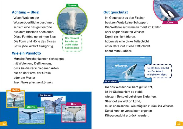 was-ist-was-erstes-lesen-band-1-wale-und-delfine-gebundene-ausgabe-christina-braun-2.webp