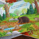 es-wird-sommer-hier-im-wald-gebundene-ausgabe-henrike-lippa-3.webp