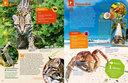 geniale-tiere-und-ihre-tricks-gebundene-ausgabe-andrea-weller-essers-11.webp