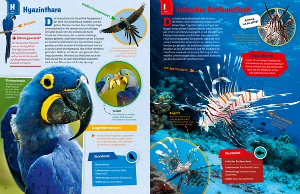 geniale-tiere-und-ihre-tricks-gebundene-ausgabe-andrea-weller-essers-8.webp