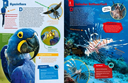 geniale-tiere-und-ihre-tricks-gebundene-ausgabe-andrea-weller-essers-8.webp