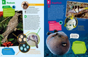 geniale-tiere-und-ihre-tricks-gebundene-ausgabe-andrea-weller-essers-10.webp