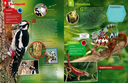 geniale-tiere-und-ihre-tricks-gebundene-ausgabe-andrea-weller-essers-5.webp