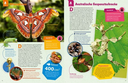 geniale-tiere-und-ihre-tricks-gebundene-ausgabe-andrea-weller-essers-4.webp