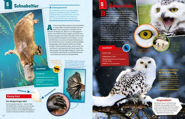 geniale-tiere-und-ihre-tricks-gebundene-ausgabe-andrea-weller-essers-12.webp