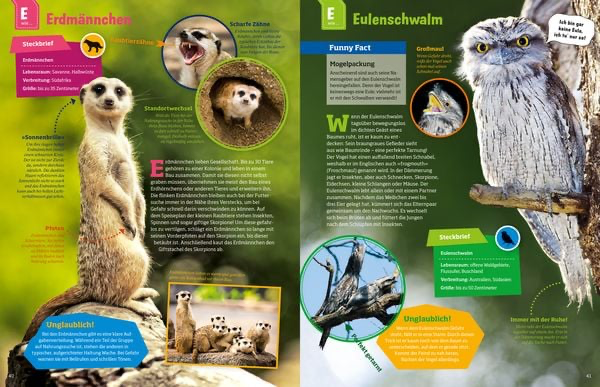 geniale-tiere-und-ihre-tricks-gebundene-ausgabe-andrea-weller-essers-7.webp