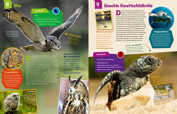 geniale-tiere-und-ihre-tricks-gebundene-ausgabe-andrea-weller-essers-13.webp