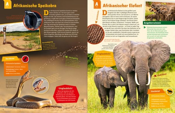 geniale-tiere-und-ihre-tricks-gebundene-ausgabe-andrea-weller-essers-3.webp