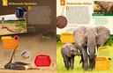 geniale-tiere-und-ihre-tricks-gebundene-ausgabe-andrea-weller-essers-3.webp
