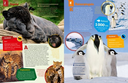 geniale-tiere-und-ihre-tricks-gebundene-ausgabe-andrea-weller-essers-9.webp