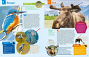 geniale-tiere-und-ihre-tricks-gebundene-ausgabe-andrea-weller-essers-6.webp