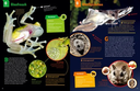 geniale-tiere-und-ihre-tricks-gebundene-ausgabe-andrea-weller-essers.jpeg.webp