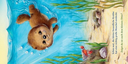 halt-dich-an-mir-fest-gebundene-ausgabe-sophie-schoenwald.webp