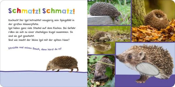hoer-mal-rein-wer-kann-das-sein-im-garten-gebundene-ausgabe.jpeg-2.webp