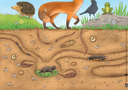 was-macht-der-regenwurm-im-garten-kamishibai-bildkartenset-box-lydia-hauenschild-2.webp