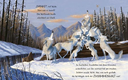 kleiner-wolf-in-weiter-welt-gebundene-ausgabe-rachel-bright-2.webp