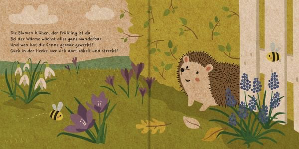 meine-gartenfreunde-der-kleine-igel-gebundene-ausgabe-carla-haefner-2.webp