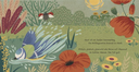 meine-gartenfreunde-die-kleine-meise-gebundene-ausgabe-carla-haefner-2.webp
