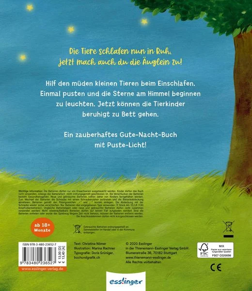 mein-puste-licht-buch-wenn-im-dunkeln-sterne-funkeln-gebundene-ausgabe-christina-noemer.jpeg.webp