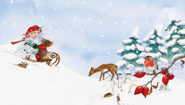 ole-und-die-wintermaus-gebundene-ausgabe-daniela-drescher.webp