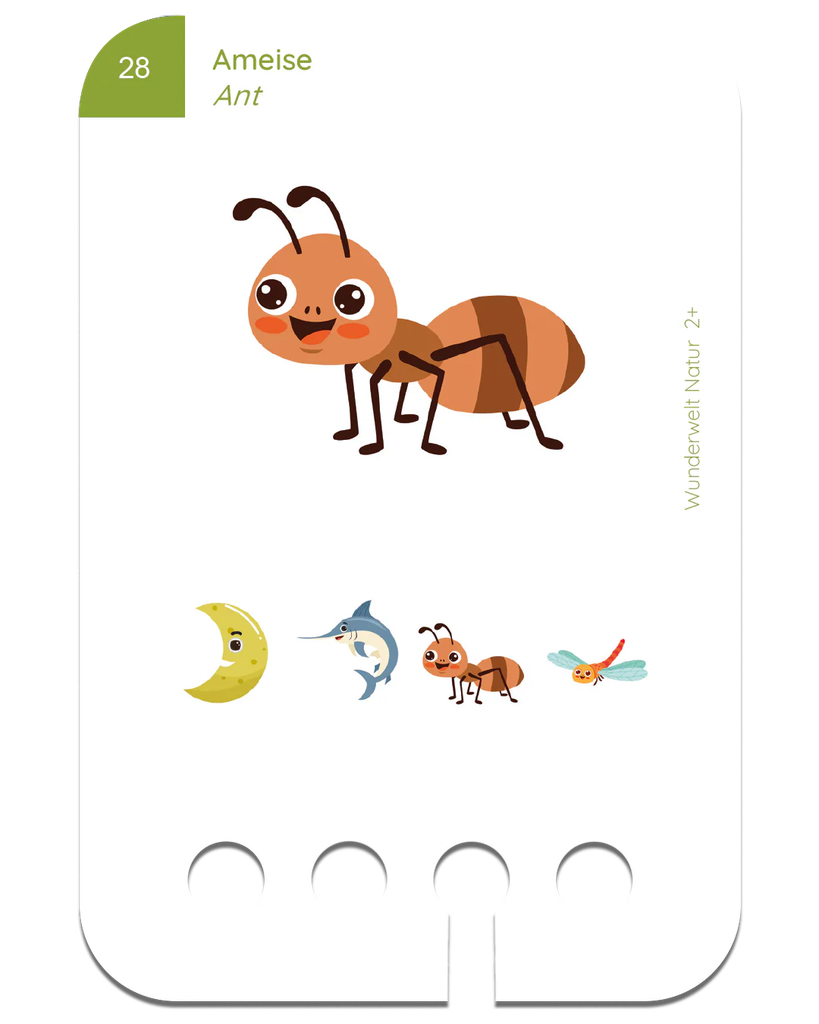 4_9f6edaef-1a54-4fe3-83e4-135e20ad6c4b.png.webp