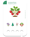 1_605e89d2-3ece-49df-8c25-59ab540136a1.png.webp