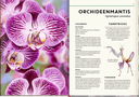 unsichtbar-gebundene-ausgabe-holger-haag-6.webp