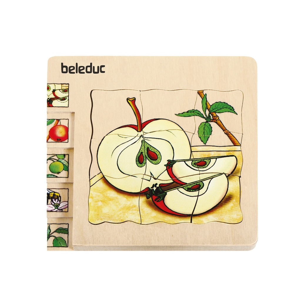 Lagenpuzzle "Apfel"
