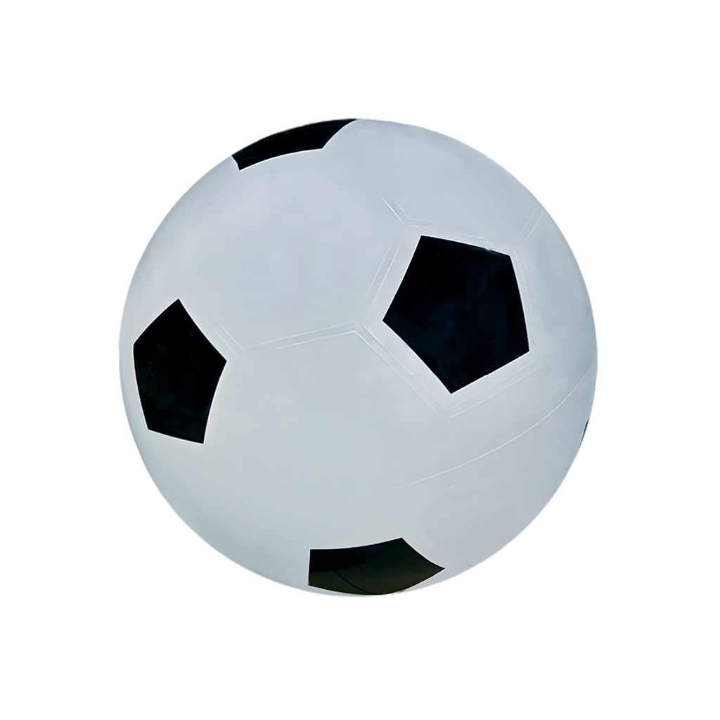 Riesen Fußball mit Pumpe